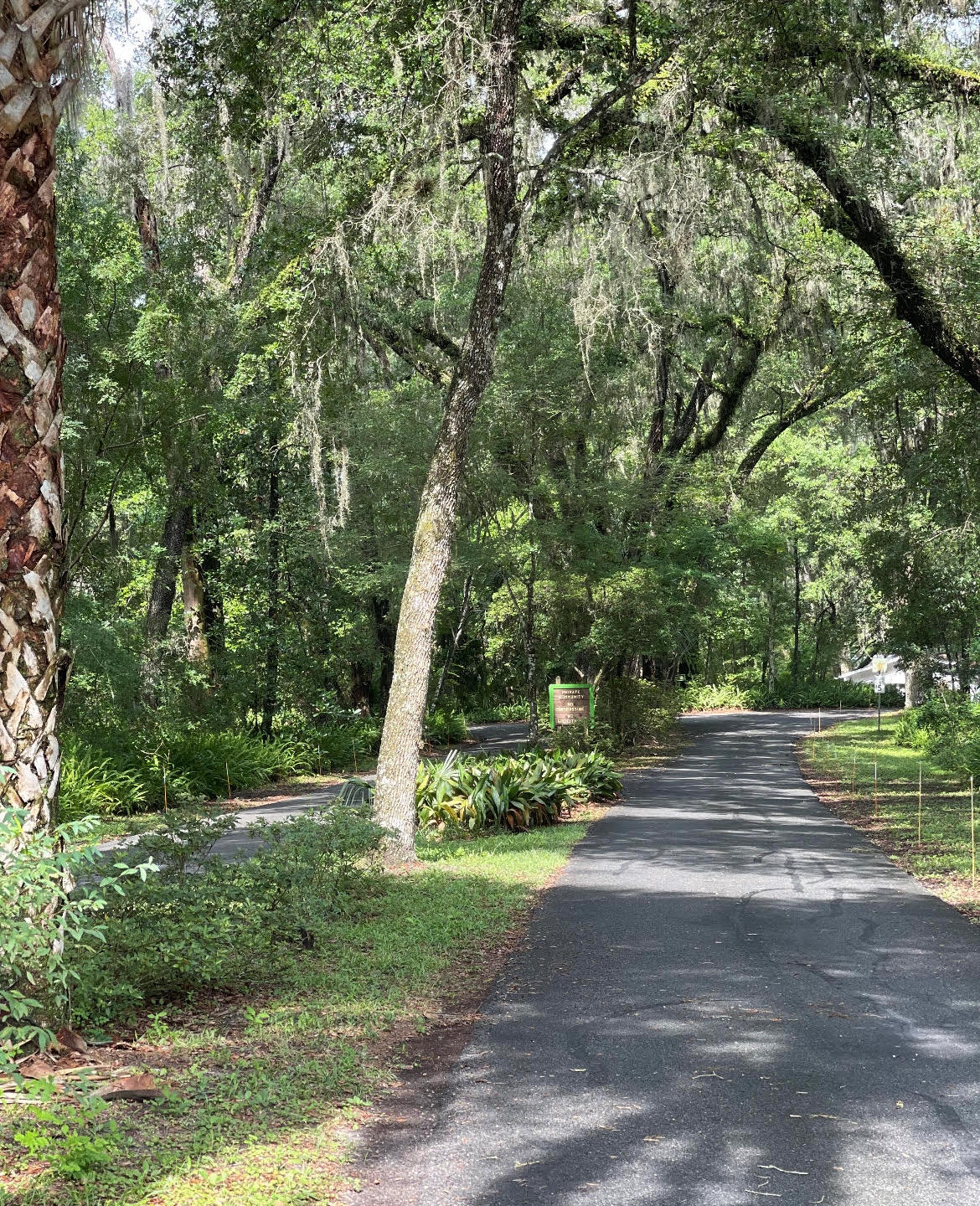 Malore Gardens – Modern Gainesville